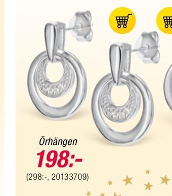 Guldfynd Örhängen erbjuda