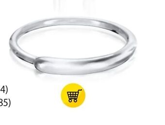 Guldfynd Ring erbjuda