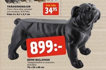 Bänk Bulldogg