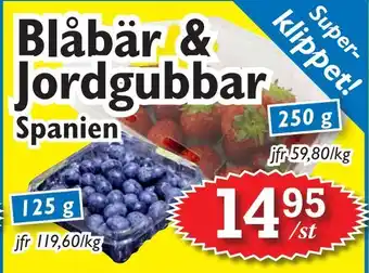 Blåbär & Jordgubbar