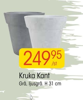 EKO Kruka Kant erbjuda