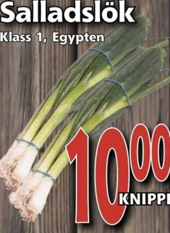 Supergrossen Salladslök erbjuda