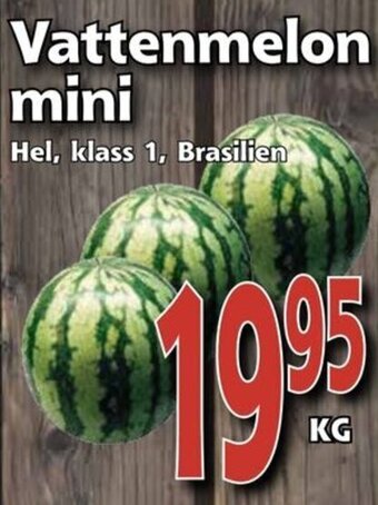 Supergrossen Vattenmelon mini erbjuda