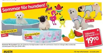 Hundtillbehör