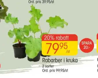 Tresemmé plantor