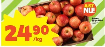 Coop Äpplen royal gala erbjuda
