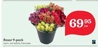 Hemköp Rosor 9-pack erbjuda