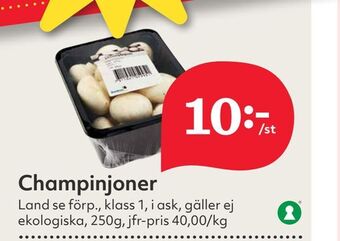 Hemköp Champinjoner erbjuda