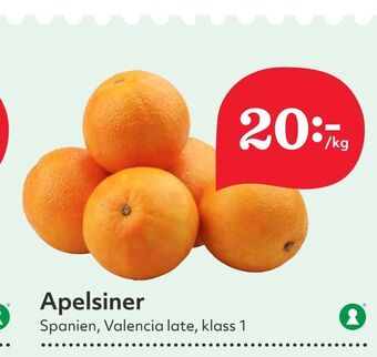 Apelsiner