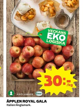 Coop Äpplen royal gala erbjuda