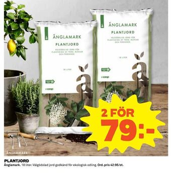 Coop Plantjord erbjuda