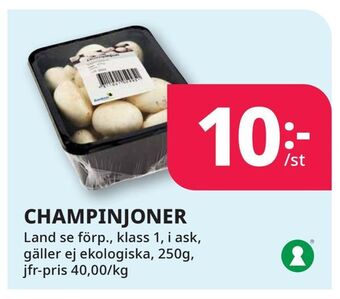 Tempo Champinjoner erbjuda