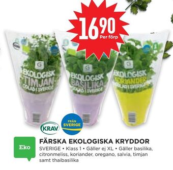 Willys Hemma Färska ekologiska kryddor erbjuda