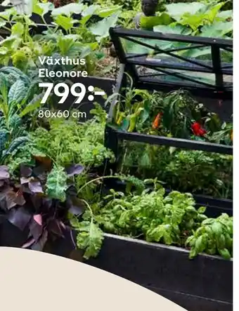 Växthus Eleonore