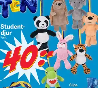 DollarStore Student- djur erbjuda