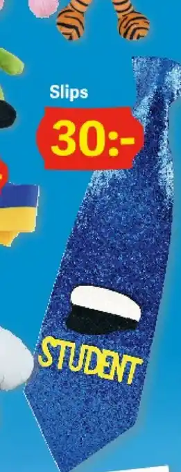 Slips