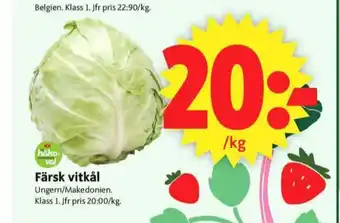 ICA Supermarket Ica vitkål erbjuda