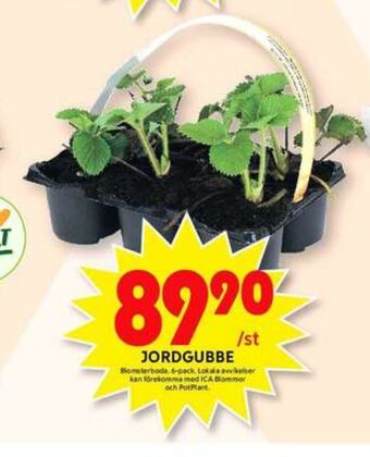 ICA Maxi Plantor erbjuda