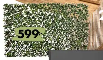 ÖoB Insynsskydd Löv 110x200 cm erbjuda