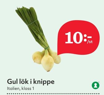 Hemköp Gul lök i knippe erbjuda