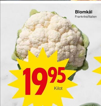 Matöppet Blomkål erbjuda
