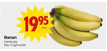 Banan