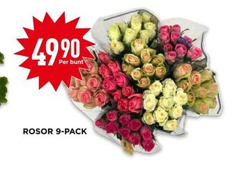 Willys Rosor 9-pack erbjuda