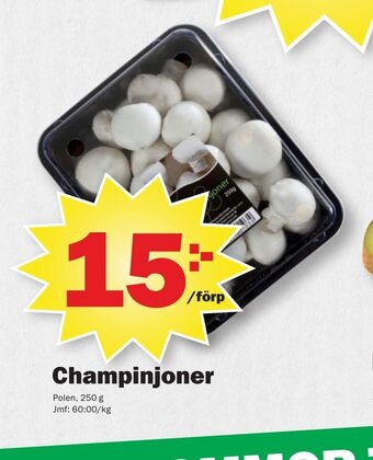 Champinjoner