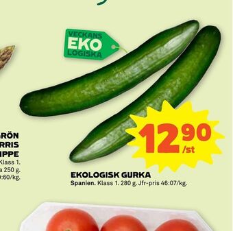 Stora Coop Ekologisk gurka erbjuda