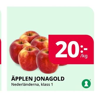 Tempo Äpplen jonagold erbjuda
