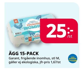 Tempo Ägg 15-pack erbjuda