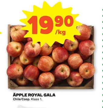 Stora Coop Äpple royal gala erbjuda
