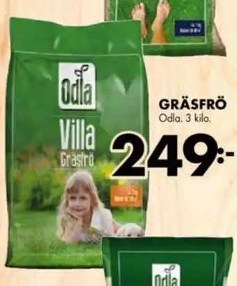ÖoB Odla Gräsfrö 3 kilo erbjuda