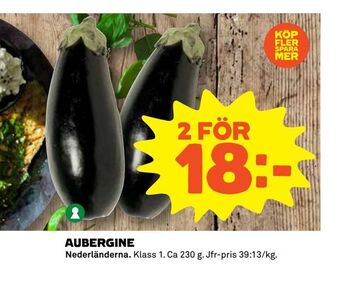 Aubergine