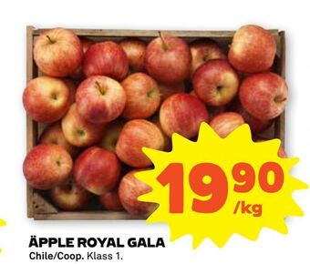 Coop Forum Äpple royal gala erbjuda