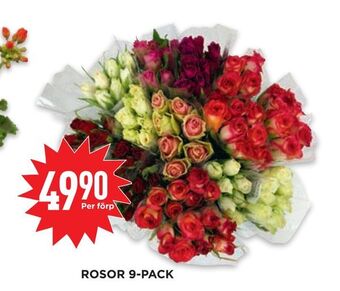 Willys Hemma Rosor 9-pack erbjuda