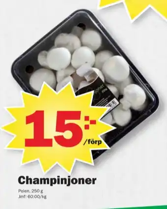 Pekås Kungsörnen champinjoner erbjuda