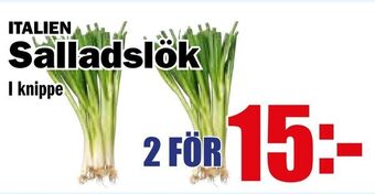 Matdax Salladslök erbjuda