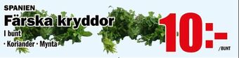 Matdax Färska kryddor erbjuda