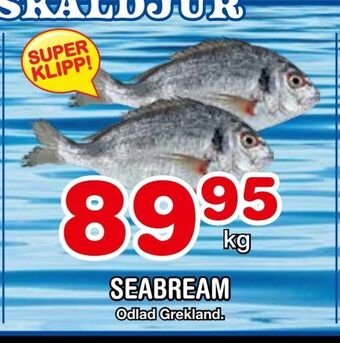 Nya Pulsen Seabream erbjuda