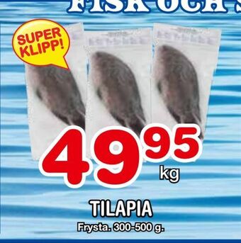 Nya Pulsen Tilapia erbjuda