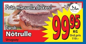 Supergrossen Nötrulle erbjuda