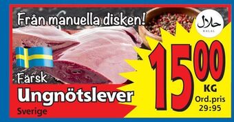 Supergrossen Ungnötslever erbjuda