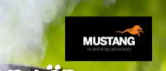 Mustang imageannons