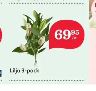 Hemköp Oatly ikaffe blommor erbjuda