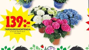 Ica plantor