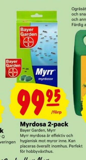 Myrr Myrmedel