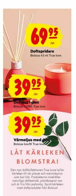 City Gross Bolsius Doftljus erbjuda