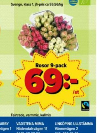 Blommor