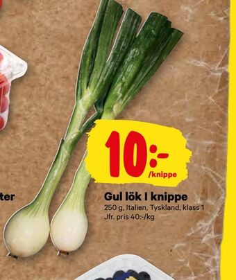 City Gross Gul lök I knippe erbjuda
